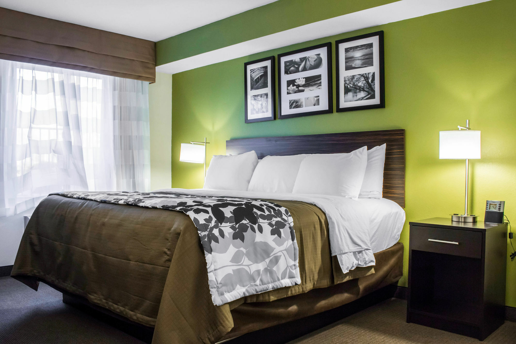 Surestay Plus By Best Western Mesa Superstition Springs Экстерьер фото