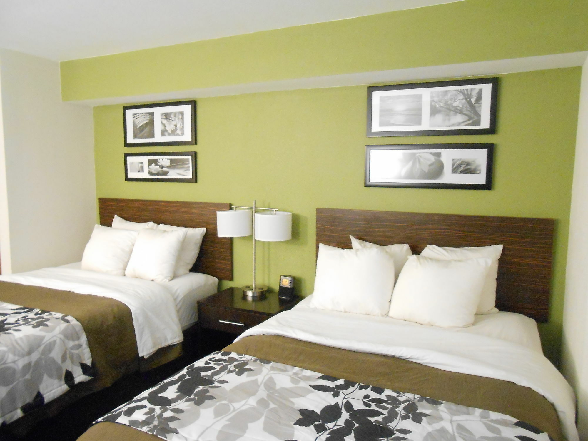 Surestay Plus By Best Western Mesa Superstition Springs Экстерьер фото